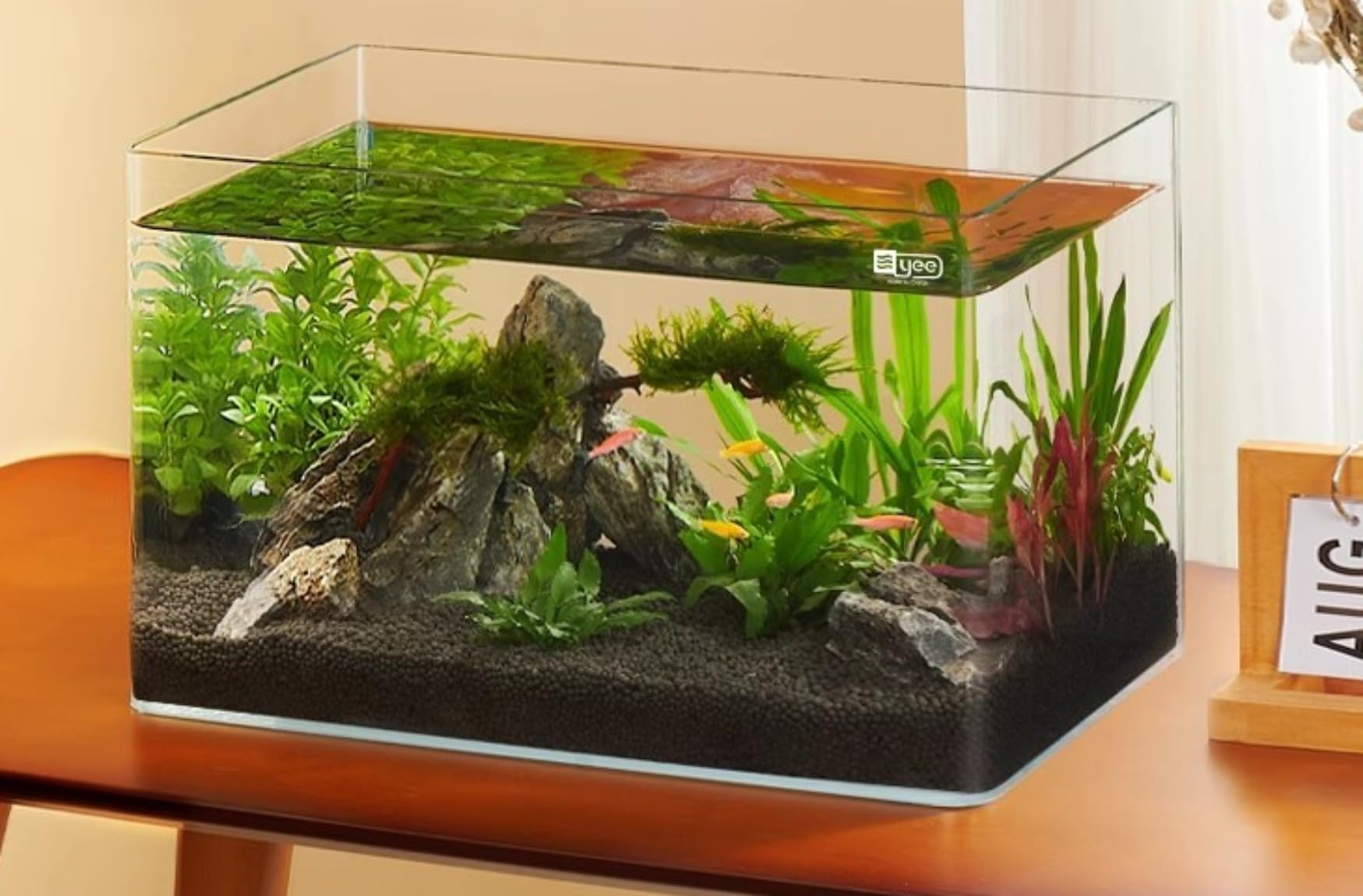 Amazon | Cutdred 金魚鉢 水槽 四角い水槽 ガラス容器 メダカ 鉢
